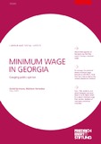 MinimumWageInGeorgia.pdf.jpg